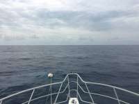 Great day of scuba diving in Key Largo with Rainbow Reef on uscgc duane tropical adventure 2016 03 18 r2612 1