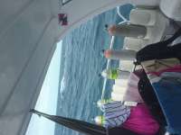 Great day of scuba diving in Key Largo with Rainbow Reef on uscgc duane tropical explorer 2016 03 22 r2632 1