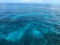 Great day of scuba diving in Key Largo with Rainbow Reef on winch hole tropical legend 2016 03 17 r2606 1