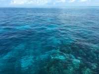 Great day of scuba diving in Key Largo with Rainbow Reef on winch hole tropical legend 2016 03 17 r2606 2
