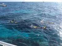 Great day of scuba diving in Key Largo with Rainbow Reef on winch hole tropical legend 2016 03 26 r2651 1
