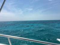 Great day of scuba diving in Key Largo with Rainbow Reef on winch hole tropical odyssey 2016 03 19 r2619 1