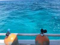 Great day of scuba diving in Key Largo with Rainbow Reef on winch hole tropical odyssey 2016 03 19 r2619 3