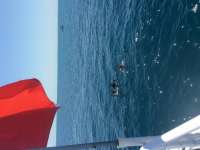 Great day of scuba diving in Key Largo with Rainbow Reef on benwood wreck tropical adventure 2016 05 15 r2796 1