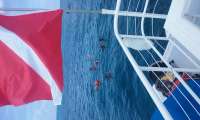 Great day of scuba diving in Key Largo with Rainbow Reef on benwood wreck tropical adventure 2016 05 20 r2812 1