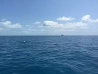 Great day of scuba diving in Key Largo with Rainbow Reef on benwood wreck tropical adventure 2016 05 22 r2819 1