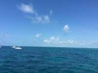 Great day of scuba diving in Key Largo with Rainbow Reef on benwood wreck tropical odyssey 2016 05 16 r2799 1