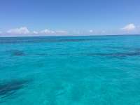 Great day of scuba diving in Key Largo with Rainbow Reef on benwood wreck tropical odyssey 2016 05 30 r2861 1