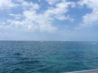 Great day of scuba diving in Key Largo with Rainbow Reef on christmastree cave tropical odyssey 2016 05 14 r2789 1