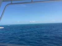 Great day of scuba diving in Key Largo with Rainbow Reef on drift molasses tropical odyssey 2016 05 21 r2814 1