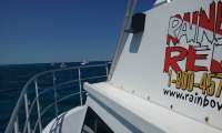 Great day of scuba diving in Key Largo with Rainbow Reef on fire coral cave tropical odyssey 2016 05 08 r2773 1