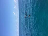Great day of scuba diving in Key Largo with Rainbow Reef on french reef tropical adventure 2016 05 13 r2785 1