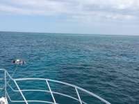 Great day of scuba diving in Key Largo with Rainbow Reef on french reef tropical adventure 2016 05 14 r2787 1