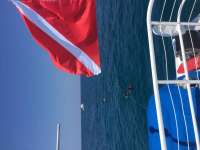 Great day of scuba diving in Key Largo with Rainbow Reef on french reef tropical adventure 2016 05 14 r2790 1