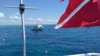 Great day of scuba diving in Key Largo with Rainbow Reef on french reef tropical adventure 2016 05 29 r2853 1