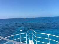 Great day of scuba diving in Key Largo with Rainbow Reef on french reef tropical odyssey 2016 05 21 r2816 1