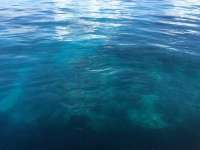 Great day of scuba diving in Key Largo with Rainbow Reef on french reef tropical odyssey 2016 05 29 r2850 1