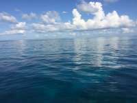 Great day of scuba diving in Key Largo with Rainbow Reef on french reef tropical odyssey 2016 05 29 r2850 2