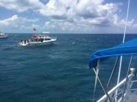 Great day of scuba diving in Key Largo with Rainbow Reef on molasses reef tropical adventure 2016 05 25 r2832 1