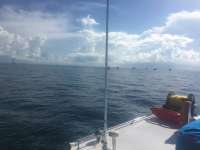 Great day of scuba diving in Key Largo with Rainbow Reef on molasses reef tropical explorer 2016 05 28 r2841 1