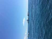 Great day of scuba diving in Key Largo with Rainbow Reef on molasses reef tropical explorer 2016 05 29 r2852 1