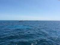 Great day of scuba diving in Key Largo with Rainbow Reef on molasses reef tropical legend 2016 05 07 r2770 1