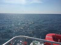 Great day of scuba diving in Key Largo with Rainbow Reef on molasses reef tropical legend 2016 05 15 r2793 1