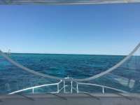 Great day of scuba diving in Key Largo with Rainbow Reef on north star tropical odyssey 2016 05 07 r2769 1