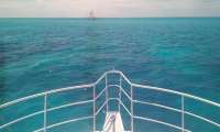 Great day of scuba diving in Key Largo with Rainbow Reef on north star tropical odyssey 2016 05 13 r2786 1