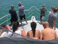 Great day of scuba diving in Key Largo with Rainbow Reef on pickles reef tropical odyssey 2016 05 03 r2765 1