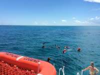 Great day of scuba diving in Key Largo with Rainbow Reef on pillar coral tropical legend 2016 05 29 r2854 1