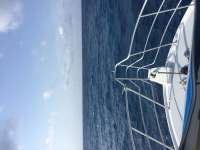 Great day of scuba diving in Key Largo with Rainbow Reef on spiegel grove tropical adventure 2016 05 03 r2764 1