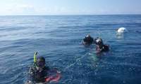 Great day of scuba diving in Key Largo with Rainbow Reef on spiegel grove tropical adventure 2016 05 24 r2829 1