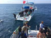 Great day of scuba diving in Key Largo with Rainbow Reef on spiegel grove tropical voyager 2016 05 15 r2792 2