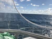 Great day of scuba diving in Key Largo with Rainbow Reef on benwood wreck tropical legend 2016 11 13 r3497 1