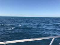 Great day of scuba diving in Key Largo with Rainbow Reef on benwood wreck tropical legend 2016 11 21 r3533 1