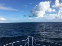 Great day of scuba diving in Key Largo with Rainbow Reef on benwood wreck tropical legend 2016 11 27 r3558 1