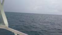 Great day of scuba diving in Key Largo with Rainbow Reef on christ statue tropical odyssey 2016 11 05 r3467 1