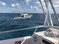 Great day of scuba diving in Key Largo with Rainbow Reef on christmastree cave tropical legend 2016 11 13 r3498 1