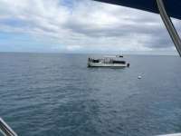 Great day of scuba diving in Key Largo with Rainbow Reef on eagle ray alley tropical adventure 2016 11 10 r3481 1