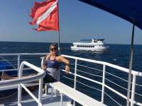 Great day of scuba diving in Key Largo with Rainbow Reef on eagle ray alley tropical adventure 2016 11 17 r3517 1
