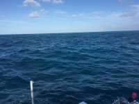 Great day of scuba diving in Key Largo with Rainbow Reef on molasses reef tropical legend 2016 11 03 r3455 1