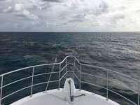 Great day of scuba diving in Key Largo with Rainbow Reef on molasses reef tropical legend 2016 11 06 r3468 1