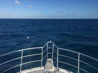 Great day of scuba diving in Key Largo with Rainbow Reef on molasses reef tropical odyssey 2016 11 25 r3549 1