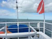 Great day of scuba diving in Key Largo with Rainbow Reef on north star tropical adventure 2016 11 09 r3476 1