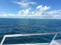 Great day of scuba diving in Key Largo with Rainbow Reef on north star tropical legend 2016 11 04 r3461 1