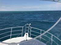 Great day of scuba diving in Key Largo with Rainbow Reef on north star tropical legend 2016 11 05 r3466 1