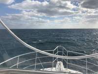 Great day of scuba diving in Key Largo with Rainbow Reef on north star tropical legend 2016 11 18 r3519 1