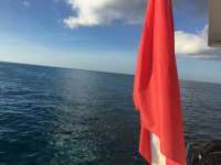 Great day of scuba diving in Key Largo with Rainbow Reef on sand island tropical voyager 2016 11 12 r3496 1