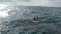 Great day of scuba diving in Key Largo with Rainbow Reef on snapper ledge tropical legend 2016 11 06 r3470 1